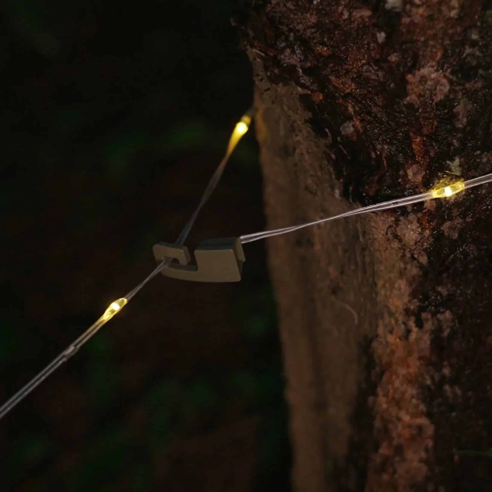 Solar-Powered Outdoor String Lights